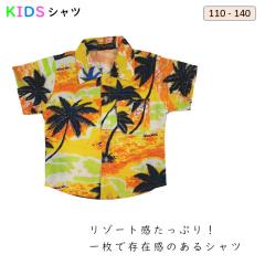 �q�� �V���c �j�̎q ���� �q���V���c ���]�[�g ������� �����������q���� �|�P�b�g�t��