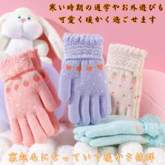 �L�b�Y ��� �q�� �ʉ� �ʊw ���̎q �O���[�u �ĂԂ��� �h�� �L�b�Y ��� ���̎q ���{�� �q�ǂ� 5�{�w �h��  ��� �������� ��� �L�b�Y 