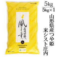 V 2025NxY ߘa7NxY  5kg  ʍ͔| P R`Y ăVXg 