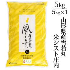 V 2025NxY ߘa7NxY  5kg  ʍ͔|  R`Y ăVXg 