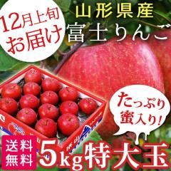 12�������\�� �M�t�g �t���[�c �R�`���Y �x�m��� ����� ��Tkg�i��16�ʁj �������� 