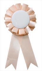 �A�[�e�b�N�y����E���ށz۾ޯ� ��ݸ AR4521718739571