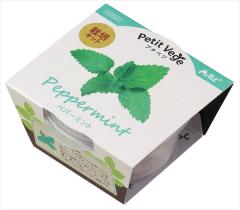 �A�[�e�b�N�y����E���ށz����޼� ���߰��� AR4548030029272