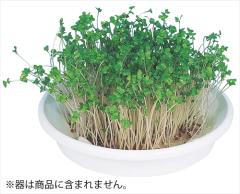 �A�[�e�b�N�y����E���ށz���k�͔|�Ư� ��ۯ�ذ���׳� AR4548030029692