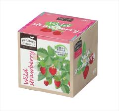 �A�[�e�b�N�y����E���ށz���͔|��� Re:Green ܲ��޽����ذ AR4548030029739