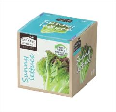 �A�[�e�b�N�y����E���ށz���͔|��� Re:Green �ư��� AR4548030029746