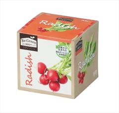 �A�[�e�b�N�y����E���ށz���͔|��� Re:Green ��ި��� AR4548030029753