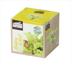 �A�[�e�b�N�y����E���ށz���͔|��� Re:Green ���ްذ� AR4548030029760