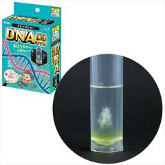 �A�[�e�b�N�y����E���ށz�����̐݌v�}!?DNA���o��� AR4521718585086