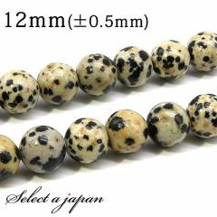 �u1�A 15cm�v �W���X�p�[ (�_�����V�A��) 12mm �p���[�X�g�[�� �o������ �V�R�� �p���[�X�g�[�� �A���� �r�[�Y ������ �΂甄�� �A�N�Z�T