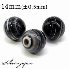 1������ �V��� 14mm �p���[�X�g�[�� �o������ �V�R�� �p���[�X�g�[�� �΂甄�� �r�[�Y ������ 1�ʔ��� �A�N�Z�T���[ �p�[�c �n���h���C
