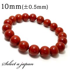 ���b�h �W���X�p�[ �u���X���b�g 10mm �p���[�X�g�[�� �u���X���b�g �����Y ���f�B�[�X �V�R�� ���� �A�N�Z�T���[ �����Y�u���X���b�g ��