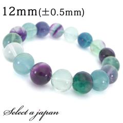 �t���[���C�g �u���X���b�g 12mm �p���[�X�g�[�� �u���X���b�g ���f�B�[�X �V�R�� ���� �A�N�Z�T���[ �����Y�u���X���b�g ���f�B�[�X�u��