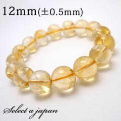 ���^ �V�g���� �u���X���b�g 12mm �p���[�X�g�[�� �u���X���b�g �����Y ���f�B�[�X �V�R�� ���� �A�N�Z�T���[ �����Y�u���X���b�g ���f�B