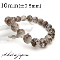 �u1�_���� ���i�v �K�[�f�����`���N�H�[�c �K�[�f���N�H�[�c �u���X���b�g 10mm �p���[�X�g�[�� �u���X���b�g ���f�B�[�X �����Y �V�R�� 