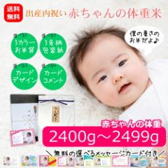 �y���������z�o�Y���j�� �Ԃ����̑̏d�� 2400�O�����`2499�O���� �ʐ^���胁�b�Z�[�W�t�� �I�c�� �V���Y�R�V�q�J�� �o�Y�j���̂��Ԃ�