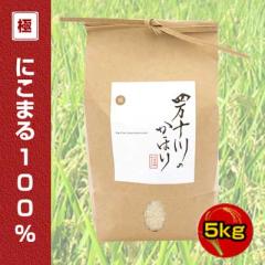 �V�āy�ߘa7�x�Y�z�m��c���ăN���u�@�l���\��̂��ق�@�m��c�ā@�ɂ݃V���[�Y�@�ɂ��܂�100���@5kg�@