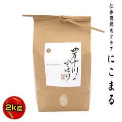 �V�āy�ߘa7�N�x�Y�z�m��c���ăN���u�@�l���\��̂��ق�@�m��c�ā@�ɂ݃V���[�Y�@�ɂ��܂�100���@2kg�@