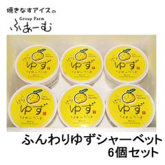 �ӂ��� �䂸�V���[�x�b�g 6�Z�b�g �M�q �A�C�X ���|�s ���|�O���[�v�ӂ��[�� ���m �����n�A�C�X �M�t�g �A�C�X�N���[��