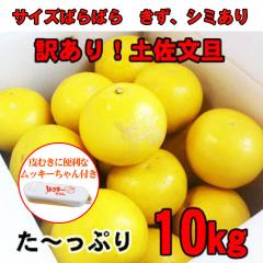 �󂠂�y�����U10kg�@���ƒ�p�ɃT�C�YS�`2L�i���m���Y�j���b�L�[�����t���^�Ǐn�Ŏ|��UP!�@