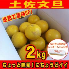 �󂠂�y�����U�Qkg�@���ƒ�p�ɃT�C�YS�`2L�i���m���Y�j���b�L�[�����t���^�Ǐn�Ŏ|��UP!�@