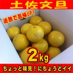 �󂠂�y�����U�Qkg�@�Ǐn�Ŏ|��UP!�@���ƒ�p�ɃT�C�YS�`2L�i���m���Y�j�L�Y�ό`�ʂ������T�C�Y���o���o���̂��ߓ��ʉ��i�I