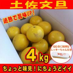 �󂠂�y�����U�Skg�@���ƒ�p�ɃT�C�YS�`2L�i���m���Y�j���b�L�[�����t���^�Ǐn�Ŏ|��UP!�@