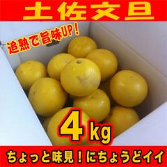 �󂠂�y�����U�Skg�@�Ǐn�Ŏ|��UP!�@���ƒ�p�ɃT�C�YS�`2L�i���m���Y�j�L�Y�ό`�ʂ������T�C�Y���o���o���̂��ߓ��ʉ��i�I