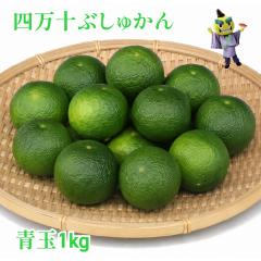 �l���\�Ԃ��ォ�� ��1���� ���m�� ���芹 ���܂�� ���k �Ԃ���܂� �y�� �u�V���J�� Busyukan