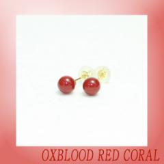 yΎXzԎXsAXiZFjyۋʁ@5mmz/TS//R[/Oxblood red/Corallium japonicum