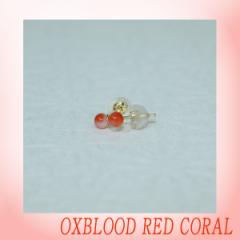 yΎXzԎXsAXiWFjyۋʁ@3mmz/TS//R[/Oxblood red/Corallium japonicum