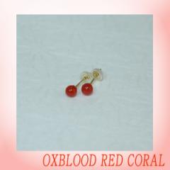 yΎXzԎXsAXiWFjyۋʁ@4mmz/TS//R[/Oxblood red/Corallium japonicum