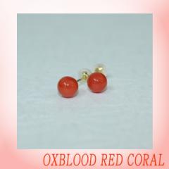 yΎXzԎXsAXiWFjyۋʁ@6mmz/TS//R[/Oxblood red/Corallium japonicum