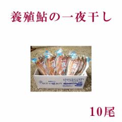 ���m���l���\�s�Y�@�{�B���̈�銱���@10���^�Ⓚ�^���Y�^�A���^����^�������^����