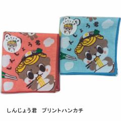 ���񂶂傤�N �v�����g�n���J�` 1��  �u���[�E�s���N�I�ׂ܂��^���{�� �L�����N�^�[ ���񂶂傤���� �n���h�^�I�� ���L�����O�����v�� 