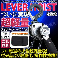 ���o�[�z�C�X�g 0.25t 250kg VM 1��P�i �`�F�[�� �u���b�N �`�F�[���z�C�X�g ���o�[�� �K�`���K�`�� �������� �H�� �ݏグ �݂� ������