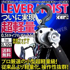 ���o�[�z�C�X�g 0.5t 500kg VM �`�F�[���u���b�N �`�F�[���z�C�X�g ���o�[�� �u���b�N �K�`���K�`�� �������� �H�� �ݏグ �݂� ��������