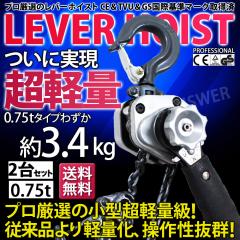 ���o�[�z�C�X�g 0.75t 750kg VM 2��Z�b�g �`�F�[���u���b�N �`�F�[���z�C�X�g ���o�[�� �u���b�N �K�`���K�`�� �������� �H�� �ݏグ ��