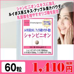  �V�����s�j�I�� 60��(��P������) �G�`�P�b�g�T�v�������g �I�X�X�� �T�v�� 