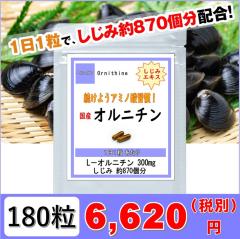 �I���j�`�� 180���i6�������j �� �̑� �T�v�� �y���������z