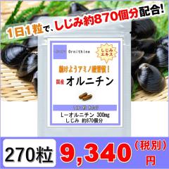 �I���j�`�� 270���i9�������j �� �̑� �T�v�� �y���������z