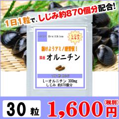 �I���j�`�� 30���i1�������j �� �̑� �T�v�� 