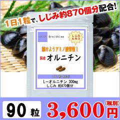 �I���j�`�� 90���i3�������j �� �̑� �T�v�� 