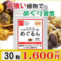 �߂���� 30�� ��P������ �}�J �N���`���C�_�� ���� �T�v�� ���̗��� ��  ���r���[�������ăI�}�PGET