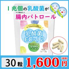 ���_�ۃT�v�� 30�� ��P������ �y�f �_�C�G�b�g �y�f�T�v�������g ���y�f �����p�g���[�� ���r���[�������ăI�}�PGET��  