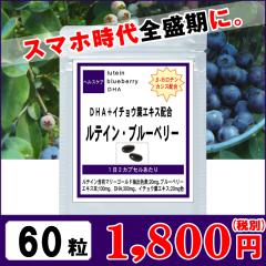 ���e�C�� �u���[�x���[ �k���Y 60�� ��P������ �� �T�v�� �I�X�X�� �T�v�������g 