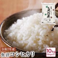 �� 10kg �ߘa7�N�Y �V�������R�V�q�J��10kg(5kg�~2) �y49�z