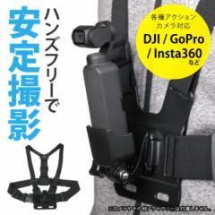 `FXg }Eg DJI GoPro Insta360  Ԃ Be DJI Pocket 2 GoPro HERO SG
