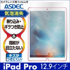 iPad Pro 12.9 2015N 2017N  2 mOAtیtB3 hw ˖h~ Mh~ CA AXfbN NGB-IPA07