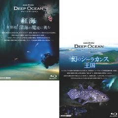 大河ドラマ　総集編　翔ぶが如く 翔ぶが如く 完全版 第弐集 DVD-BOX 全6枚 大河ドラマ -NHK